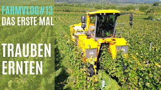 Mein erstes Mal Trauben Ernten FarmVlog13 mit einem Traubenvollernter unterwegs [upl. by Myo]