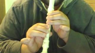 The Lord Of The Rings Theme on recorder [upl. by Neimad]