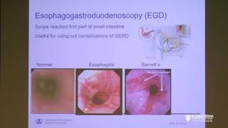 GI Dysmotility in Scleroderma Not Just the Esophagus  Daniela Jodorkovsky MD [upl. by Bremer]