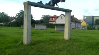 Hindernisbahn Parkour [upl. by Ytsur]