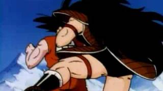 DBZ  Toonami  Raditz Promo 1 [upl. by Ayocal]