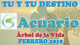 Acuario  Árbol de la Vida  Tu y tu Destino  Febrero 2019 [upl. by Curry]