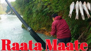 Big Asala Fish On Hook Raata Maate Seti River 🎣  Seti River Fishing  Fishing Nepal 🇳🇵 [upl. by Gerlac]