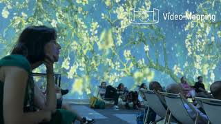 Van Gogh The Immersive Experience  Exhibition Hub  Video Mapping [upl. by Yltnerb]