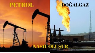 Petrol ve doğalgaz nasıl oluşur Herkes için belgesel Belgesel videoları [upl. by Attalanta]