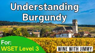 Understanding The Burgundy Appellation structure for WSET Level 3 [upl. by Rosina]