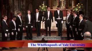 Yale Football Fight Song Medley by The Yale Whiffenpoofs of 2013 [upl. by Naejeillib]