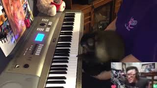 THAT MONKEY IS OVERSTREAMING ON THE PIANO [upl. by Salvadore646]