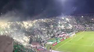 Atlético Nacional fans with a stunning atmosphere 🔥💥👍 [upl. by Arihk]