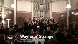 Wayfarin Stranger  Reginal Unterseher [upl. by Renata236]