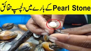 Pearl Stone Documentary In Urdu  Moti  pearl Stone History By Dilchasp Khoj [upl. by Lilli841]