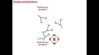 Mécanisme de lhémagglutination [upl. by Nicko]