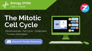 The Mitotic Cell Cycle  Biology AS Level  Discord Study Session [upl. by Mharba]