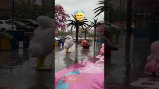 Mascot Fails and Fun [upl. by Jud]