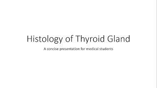 Thyroid Gland  Histology [upl. by Eirrak632]