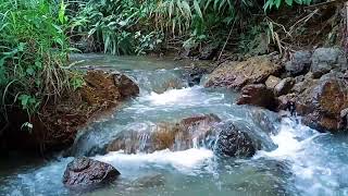 ASMR Flowing River Sounds for Ultimate Relaxation  Calming Nature Ambience [upl. by Filipe689]