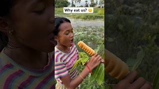 Why eat us 🥵🙂 edit fruit wildrice funny food [upl. by Noived]