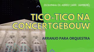 TICO TICO NO FUBÁ na CONCERTGEBOUW arr Jamberê [upl. by Hawkie]