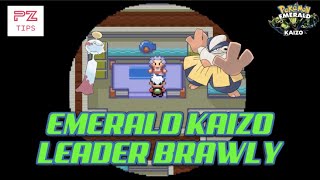 Leader Brawly  Pokemon Emerald Kaizo Hardcore Nuzlocke  Intimidate Support and Chimecho Dominate [upl. by Varien]