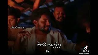 Salena lelena daluwa wilasa cover songසරා  nadagamkarayo [upl. by Placia]