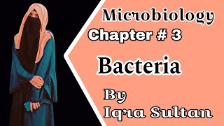 Bacteria Classification of Bacteria amp Structure of Bacteria Microbiology B Pharmacy 1st year [upl. by Nillad]