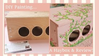 DIY Painting A Hay Box amp Happy Rabbit Company Review [upl. by Onairelav499]