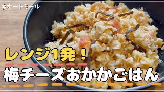 【レンジ１発飯】美味すぎるオートミールの梅チーズおかかご飯 [upl. by Enyrb]