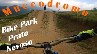 Muccodromo Bike Park Prato Nevoso  MTB  23082024 [upl. by Alvan]