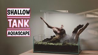 HOW TO MAKE A SHALLOW TANK AQUASCAPE [upl. by Proudman639]