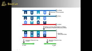 Expressed Sequence Tag [upl. by Mechelle723]