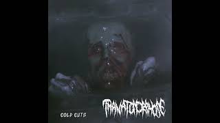 THANATOMORPHOSE quotCold Cutsquot GOREGRIND 2024 [upl. by Ykcim943]