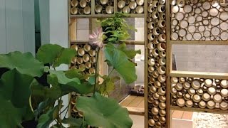 Bamboo decoration ideas [upl. by Ademla]