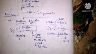 Biosynthesis of polyamines [upl. by Amaryl]