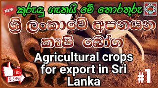 ශ්‍රි ලංකාවෙි අපනයන කෘෂි බෝගAgricultural crops for export in Sri LankaAnamanama tv [upl. by Harimas536]