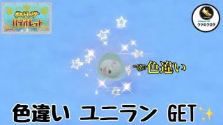 【ポケモンSV】Shiny Solosis GET✨ Solosis → Duosion → Reuniclus Evolve 🔥 [upl. by Ruthann]