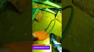 man unscrews drain and it explodes from pressure satisfying draincleaning drainage plumbing [upl. by Novled]