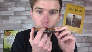 Get Your First Harmonica Overblow TODAY Harmonica Hacks 5 [upl. by Mcroberts]