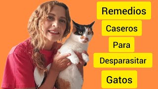 REMEDIOS CASEROS PARA DESPARASITAR GATOS 🐱 [upl. by Riker]