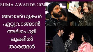 28SIIMA Awards 2024chilliSparky [upl. by Iseabal]