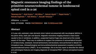 21 MRI of primitive neuroectodermal tumour in lumbosacral spinal cord in a cat [upl. by Boycey]