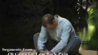 Qi Gong for Low Back Pain with Lee Holden [upl. by Ribble]