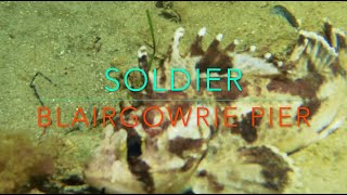 SOLDIER FISH Blairgowrie Pier NIGHT [upl. by Nelleeus]