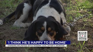 Owners reunited with missing dog after 4 months [upl. by Jahn]