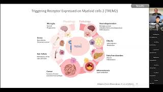 Noa Rachmian Identification of senescent TREM2expressing microglia in aging amp AD mouse brain [upl. by Sanjiv]