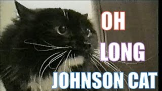 Talking Cat Saying quotOh Long Johnsonquot [upl. by Quarta]