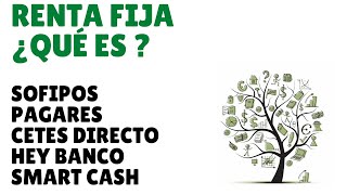 ¿Qué son las Inversiones de Renta Fija Cetes SOFIPOS y Pagarés Bancarios Hey Banco [upl. by Cece]