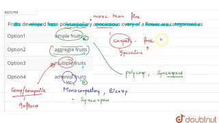 Fruits developed form polycarpellary apocarpous ovary of a flower are categorsed as  12  MORP [upl. by Bobby249]