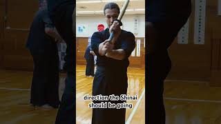 Kendo tips for shinai angles and good impact [upl. by Sophie]