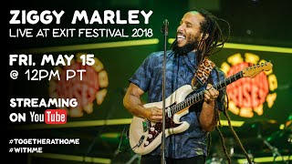 Ziggy Marley live at Exit Festival 2018 Full Concert [upl. by Bryana344]