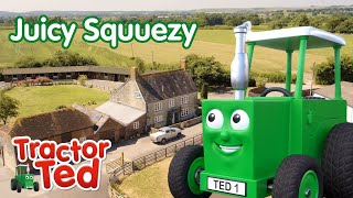 Juicy Squeezy 🫐 BRAND NEW To You Tube Kids  Tractor Ted Full Episode [upl. by Ehcram98]